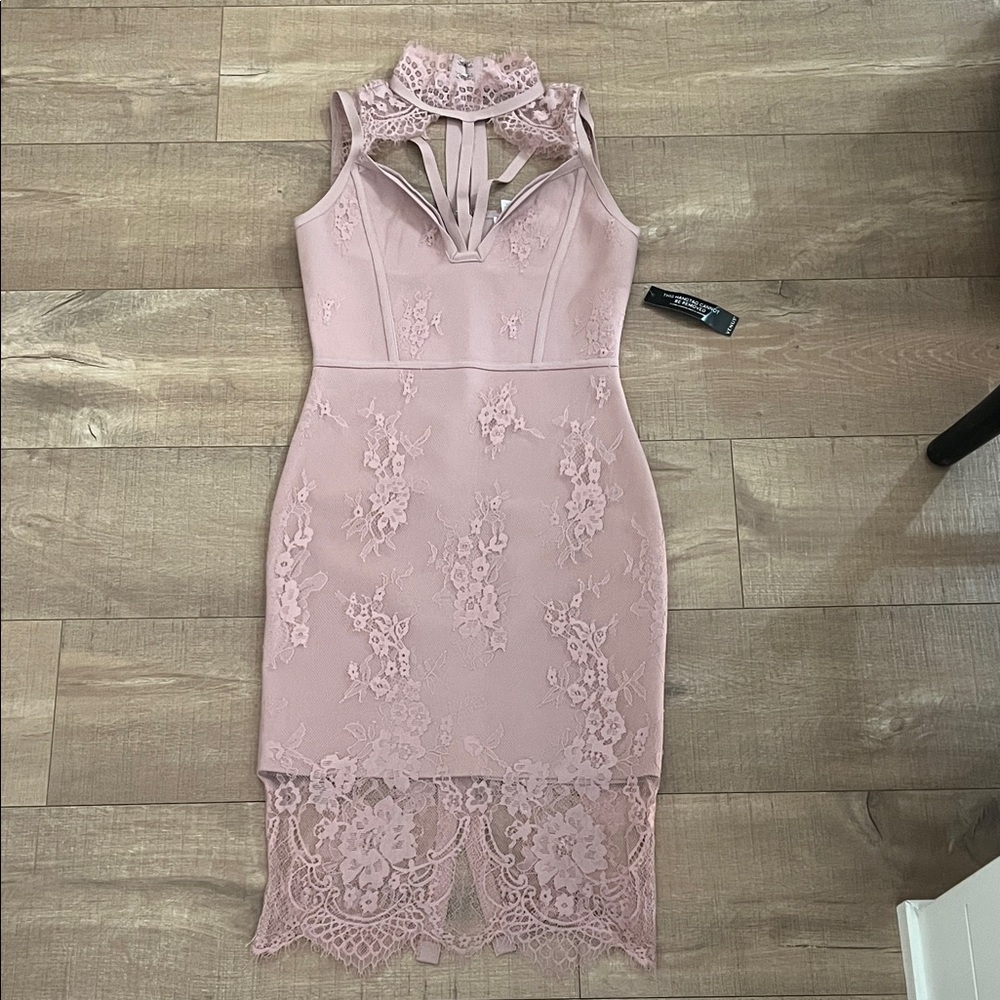 VENUS Blush Lace Midi Dress size xs NWT
